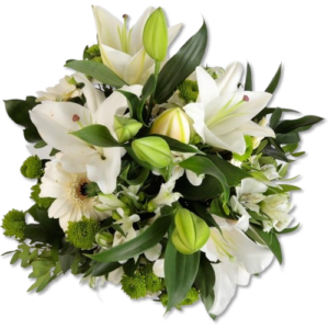 Coroa Imperial