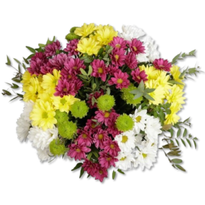 Margarida